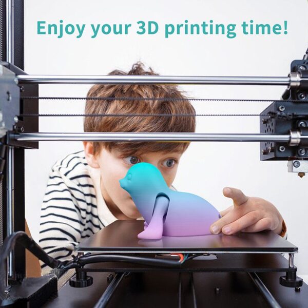 PLA+ Gradient